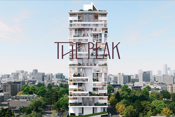 더피크 도산